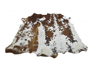 Cosy Couch Furniture Manufacturers